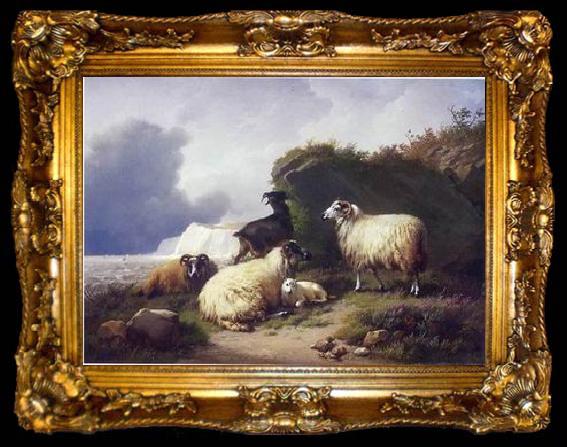 framed  unknow artist Sheep 157, ta009-2